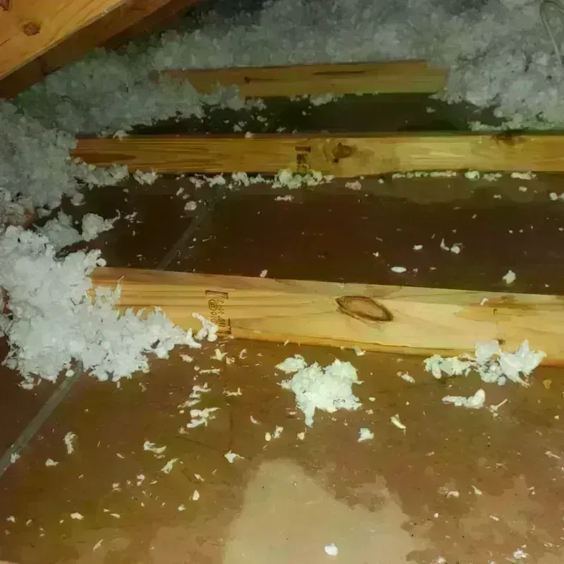 Attic Water Damage in Whitewater, WI